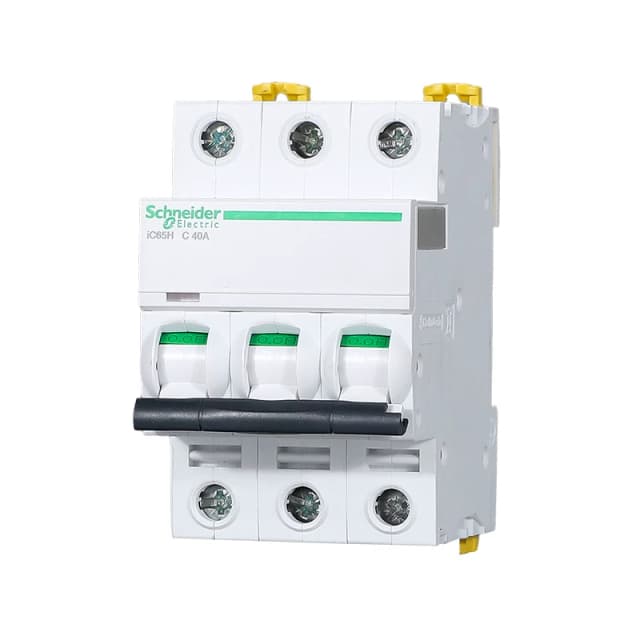 Schneider Electric IC65H